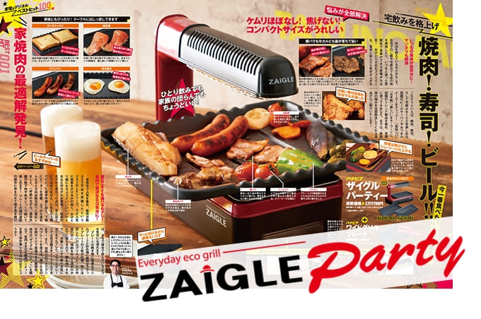 Zaigle sj 100 ザイグルハンサム ザイグル ハンサム 形式SJ-100 SJ-100 